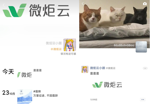图217.png